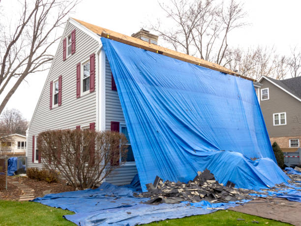 Affordable Siding Repair and Maintenance Services in Morrisville, NY